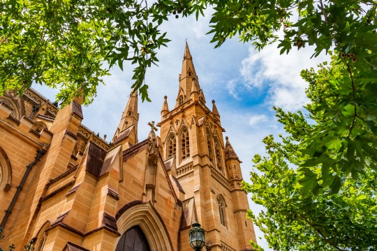 metropolitan-cathedral-of-the-immaculate 540x360